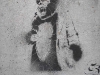Ape