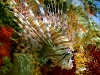 fortfisheraquarium030308_2.jpg