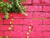 Red brick wall