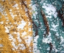 Peeling paint