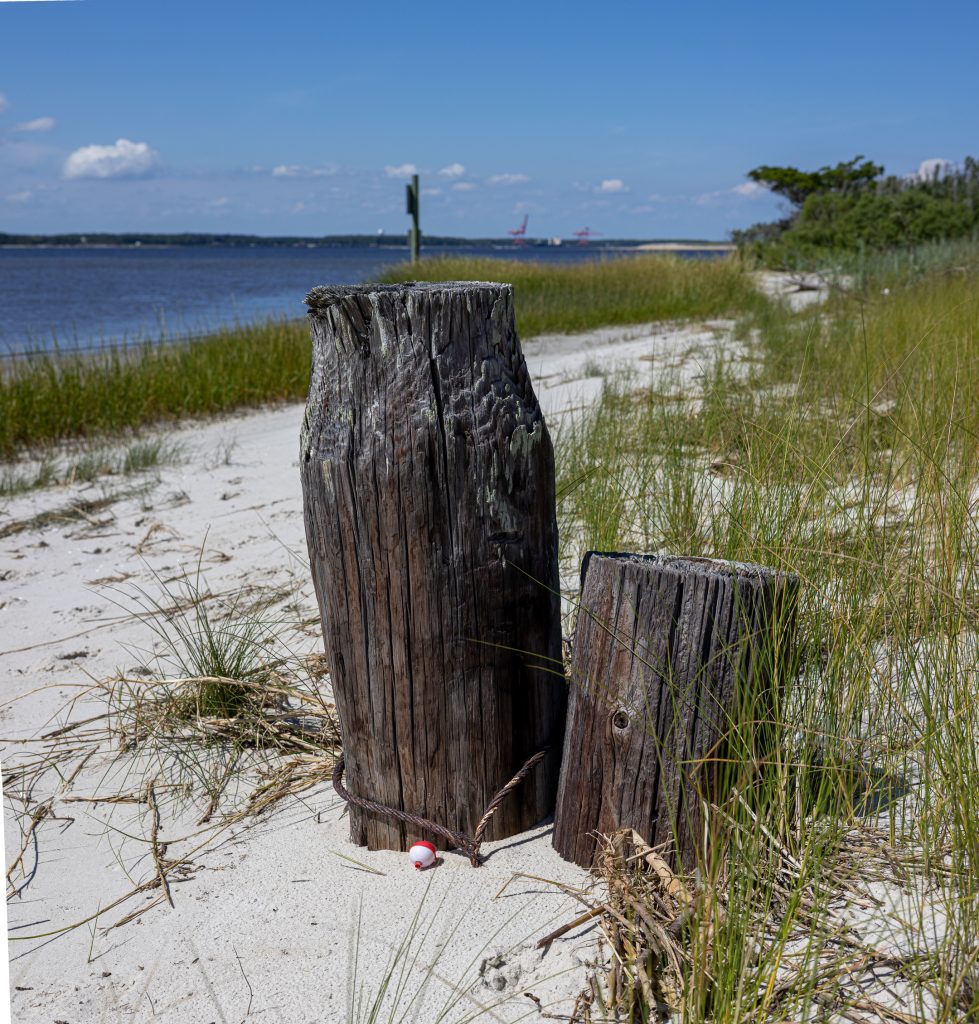 Pilings protrude from the sand along the bank of the Cape Fear River near Battery Hill, Fort Fisher.