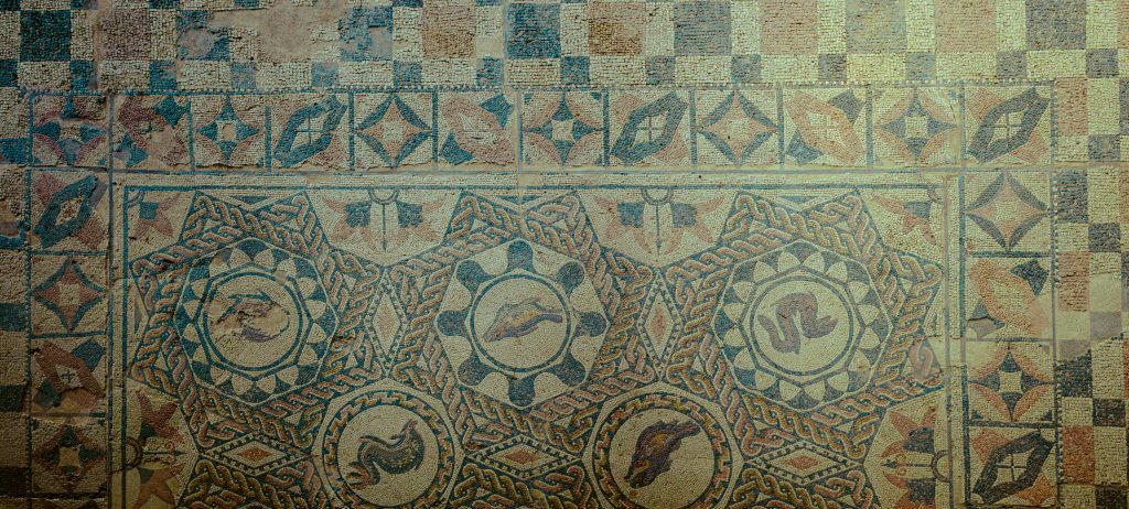 Ancient floor tiles form a mosaic depicting various types of fish at the Casa de Anfiteatro in Mérida, Spain.